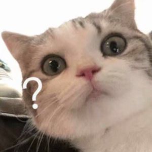 专门操老娘们逼
